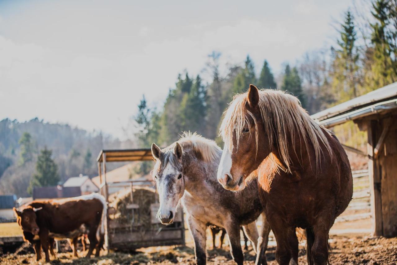 Farm Stay Zurej Šentjur Екстериор снимка