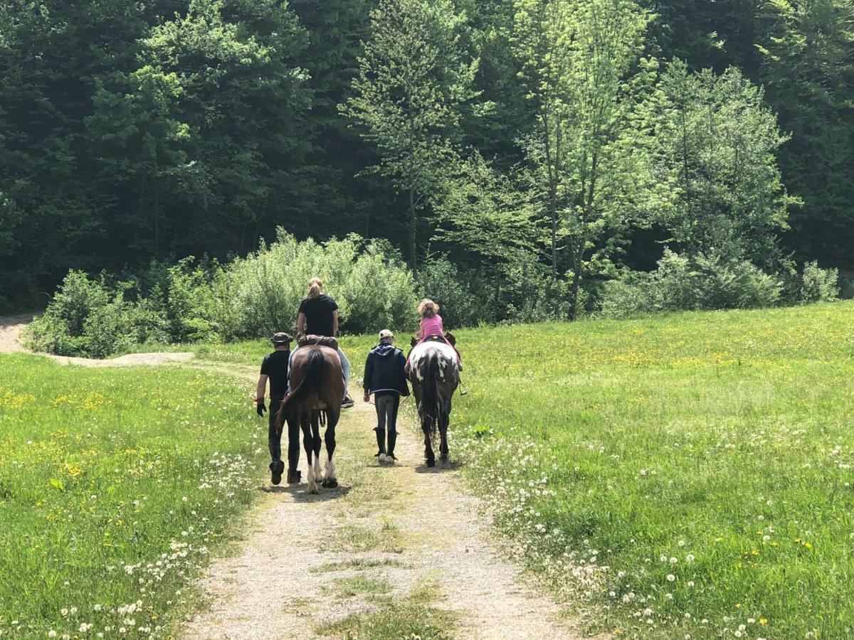 Farm Stay Zurej Šentjur Екстериор снимка