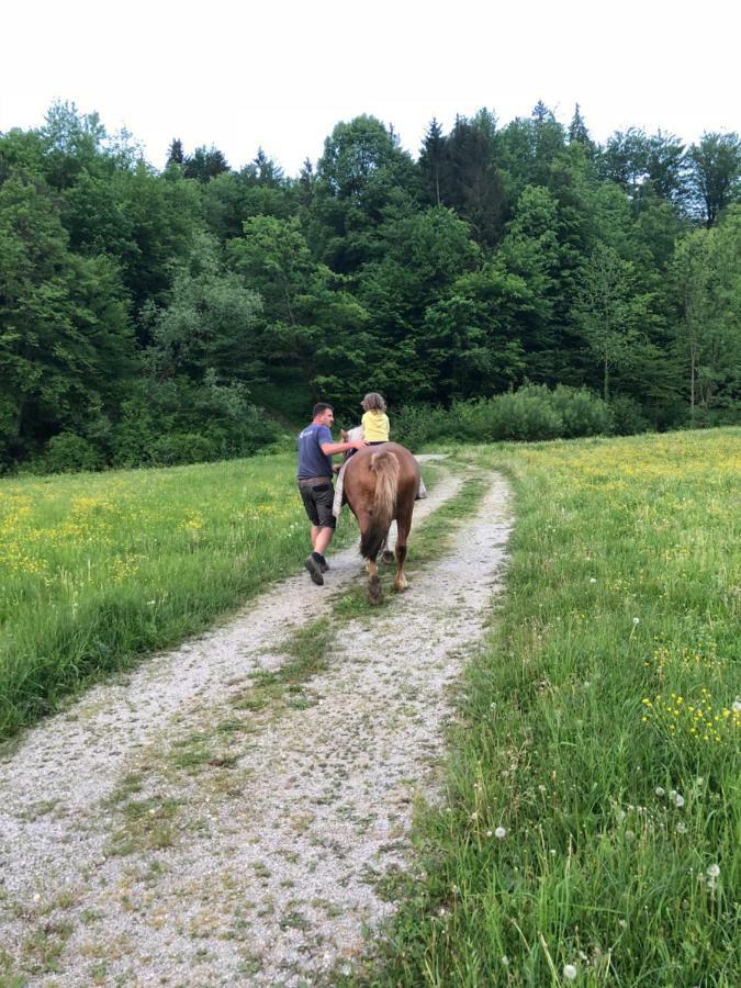 Farm Stay Zurej Šentjur Екстериор снимка